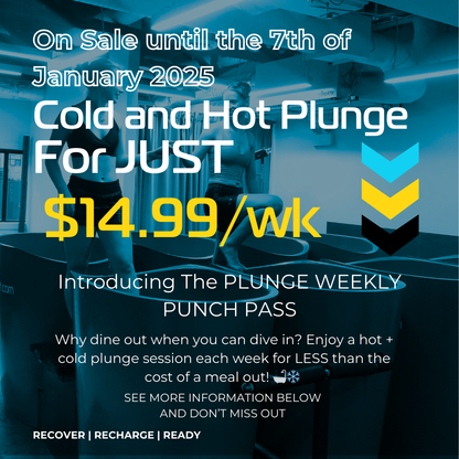 Plunge Weekly Punch Pass